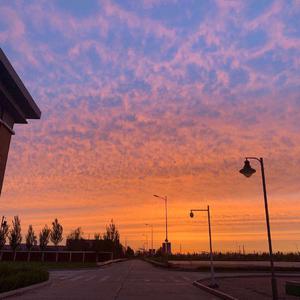 成人做爰黄✌片视频透板机
