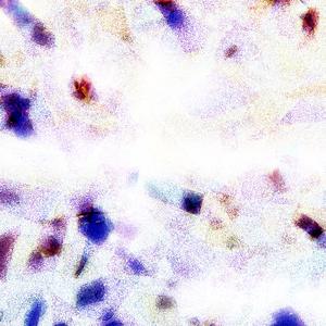 成人做爰黄✌片视频透板机
